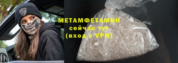 прущие грибы Волосово