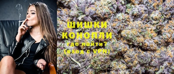 сатива Верхний Тагил