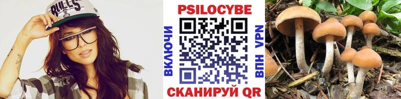 Галлюциногенные грибы Psilocybine cubensis  blacksprut ССЫЛКА  Нелидово 